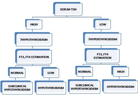 Metabolism of thyroid and steroid hormones
